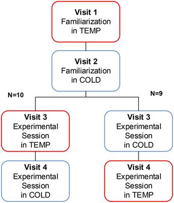 Time-Dependent Effects of Acute Exercise on University Students’ Cognitive Performance in Temperate and Cold Environments